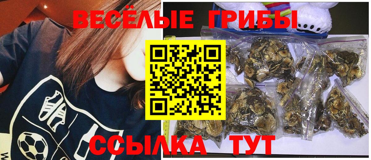 Галлюциногенные грибы Psilocybine cubensis  Вход с VPN  Псилоцибиновые грибы мицелий  Вязники 