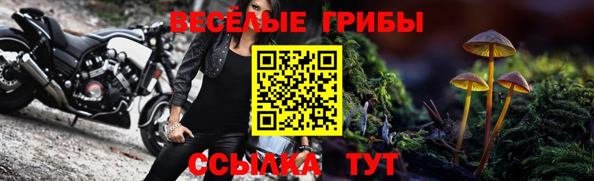 Псилоцибиновые грибы прущие грибы Вязники